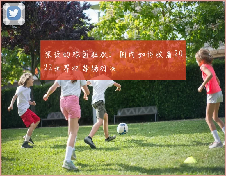深夜的绿茵狂欢:国内如何收看2022世界杯每场对决