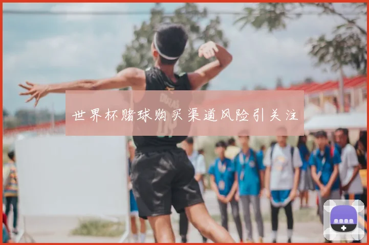 世界杯赌球购买渠道风险引关注