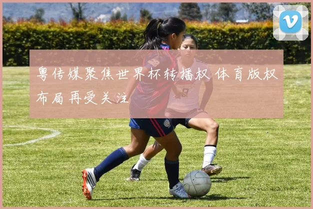 粤传媒聚焦世界杯转播权 体育版权布局再受关注