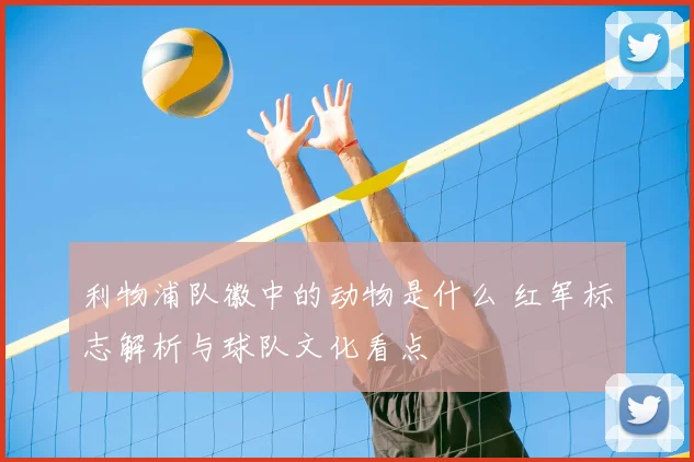 利物浦队徽中的动物是什么 红军标志解析与球队文化看点