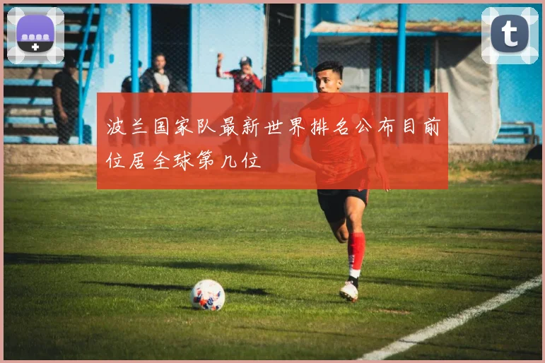 波兰国家队最新世界排名公布目前位居全球第几位