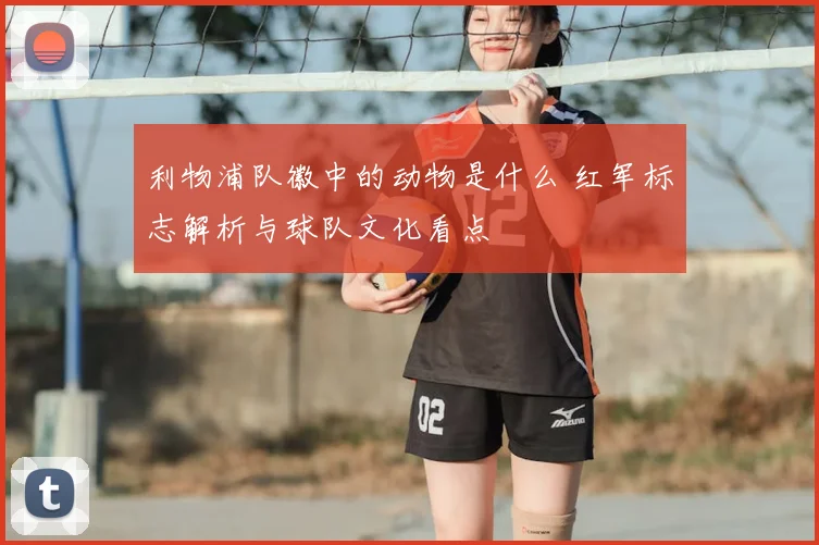 利物浦队徽中的动物是什么 红军标志解析与球队文化看点
