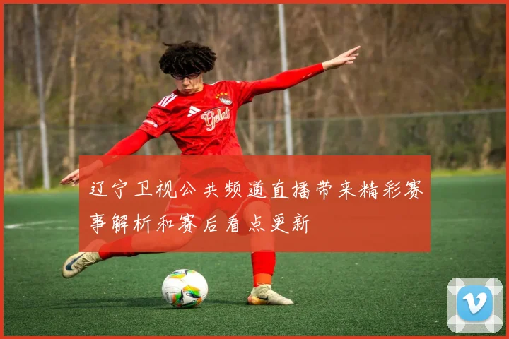 辽宁卫视公共频道直播带来精彩赛事解析和赛后看点更新