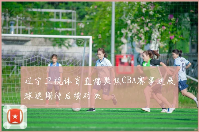 辽宁卫视体育直播聚焦CBA赛事进展球迷期待后续对决