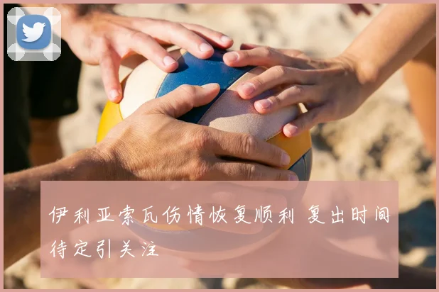 伊利亚索瓦伤情恢复顺利 复出时间待定引关注